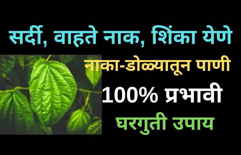 सतत डोळ्यातून आणि नाकातून पाणी येणे सर्दी, सारख्या शिंका येणे यावर प्रभावी घरगुती उपाय.